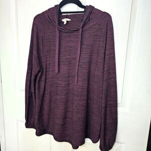 Women's Terrace & Sky Maroon And Black Hooded Shirt 0X